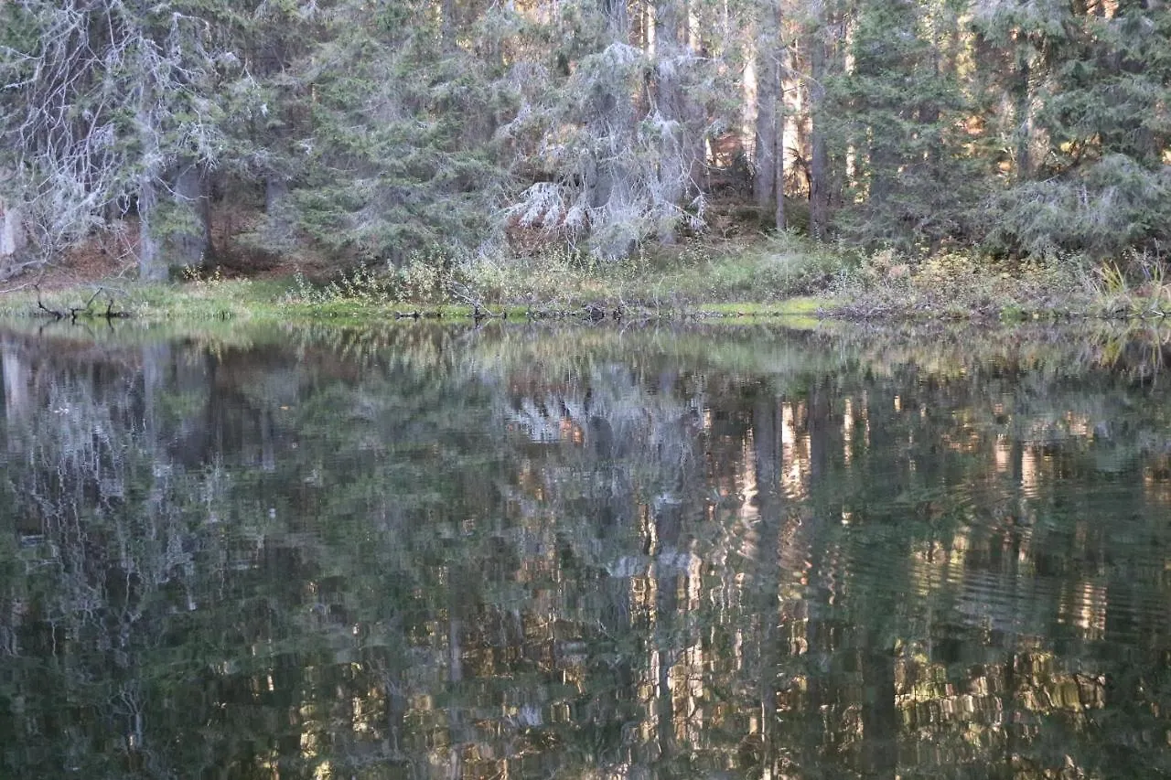 Ferienwohnungen Ludwigsthal גרמניה
