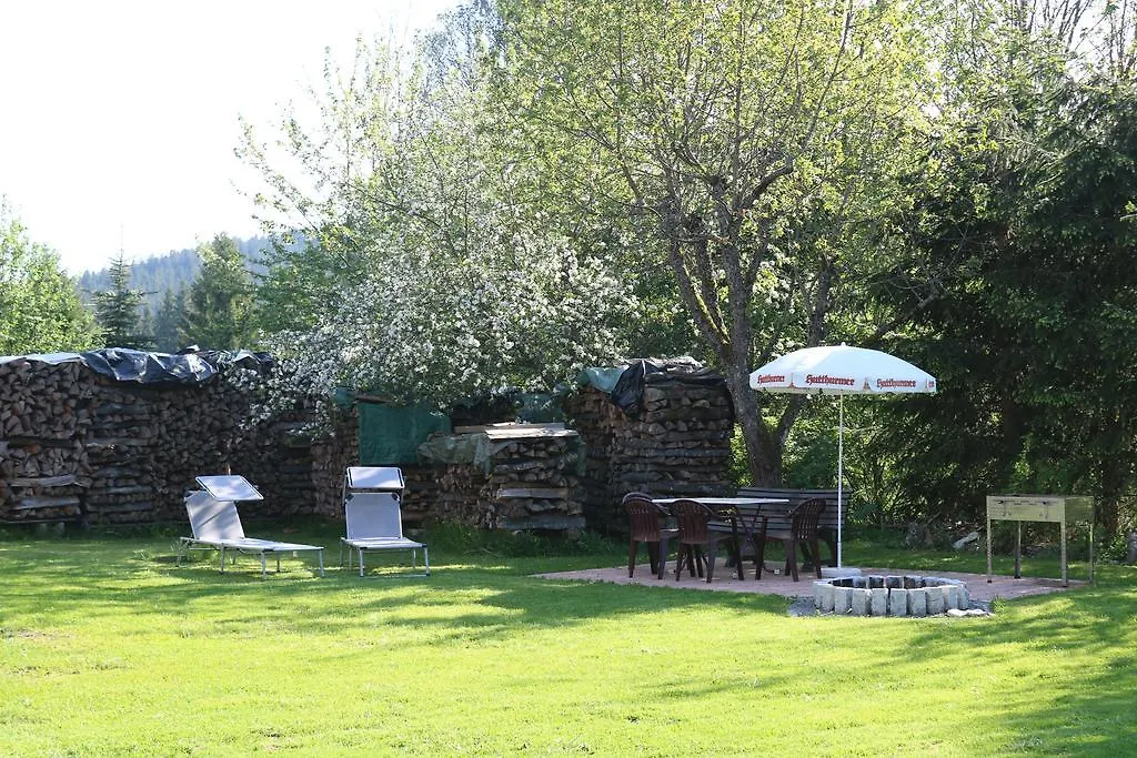Ferienwohnungen Ludwigsthal 0*,